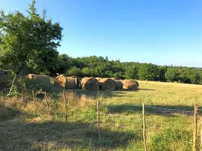 Chambres D'Hôtes Pech Blanc - Image 2