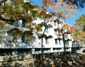 Dowler Apartments - Image 2