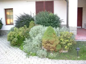 Affini Vendeghaz - Image 2