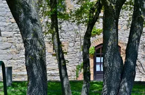 Cal Xelin - Image 2