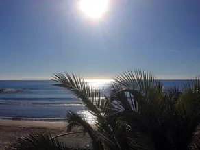 Hotel Mambo - Image 4