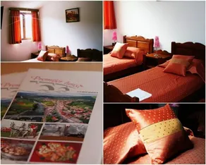 B&B Premijer - Image 3