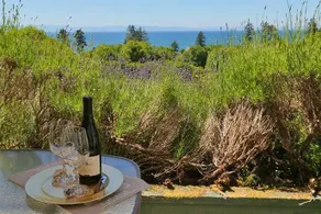 Gordon's Beach Farm Stay B&B - Image 3