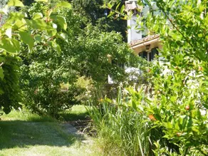 Villa Il Bosco - Rental on the hills of Florence - Image 5