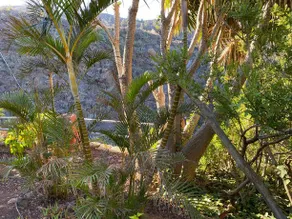 Casa La Paloma - Image 4