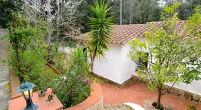 MAS TOMASI 525 A - Image 3