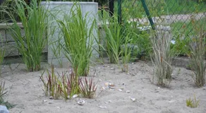 Apartament Wita - Image 3