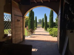 I COLORI DELLA VITA - Image 2