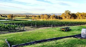 Molly Morgan Vineyard - Image 4