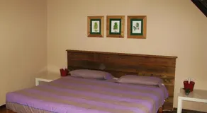 Locanda Alpina Balma Meris - Image 2