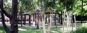 Exclusive Centro Turistico Internacional - Image 2
