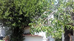La Casetta Dei Cedri - Image 4