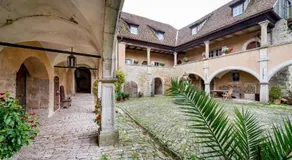 Geyer-Schloss Reinsbronn - Image 4