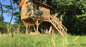 Cabane Nid Du Centre Unisvers - Image 5