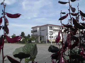 Hotel HANUL CU FLORI - Image 5