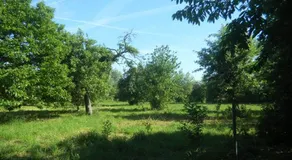 Verreveld - Image 5
