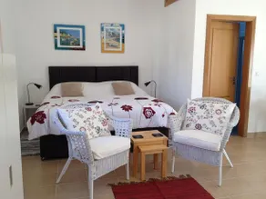 Olive Grove - Image 4