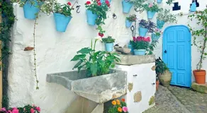 De Patios - Image 3