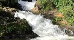 Chacara Sonho Verde - Image 5