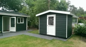 Dolfijn - Image 2