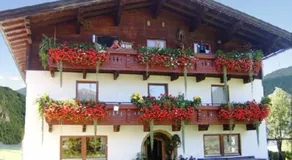 Hinterankerwald - Image 3