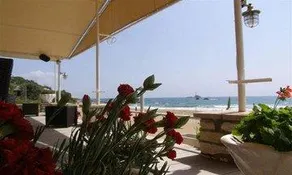 Aleka - Image 3