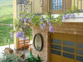 Agriturismo Maso Rover - Image 5