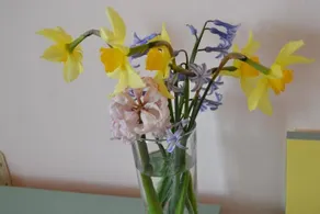 Chaika Guest House - Image 2