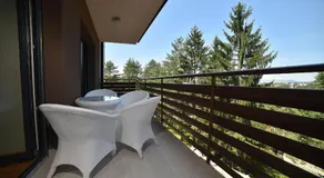 Vila Pekovic - Image 2