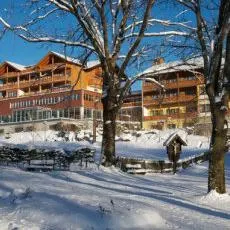 Hotel Dorfhotel Fasching - Image 2