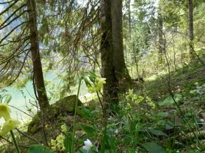 Berghotel Obersee - Image 4