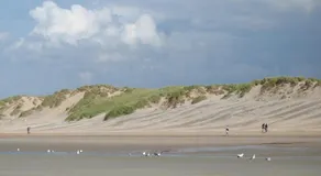Blankeduyn Koksijde - Image 4