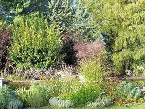 Manoir De La Vigneraie - Image 5