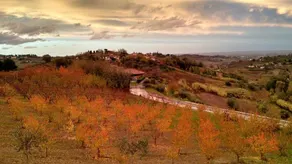 Ca' Fabbri - Image 1