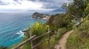 The sea from the hills - Image 2