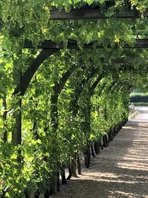 Loire Valley - Image 3