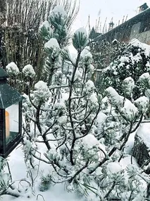 Hotel Al Sole - Image 4