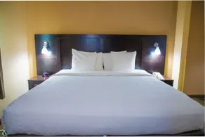 Best Western Plus North Savannah - Image 4