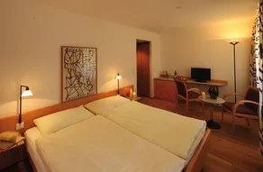 Hotel & Restaurant Casa da Luzi - Image 5