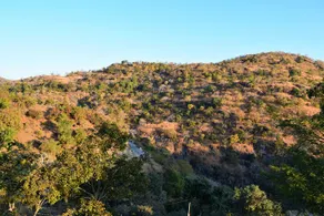 Hotel Garh Kumbha - Image 4