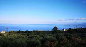 Blue Horizon - Image 3