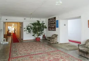 Goluboi Issyk Kul - Image 3