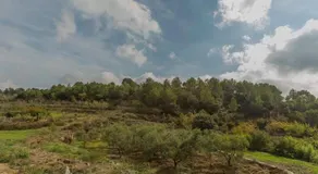 Ca L'oliveta - Image 2