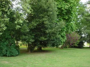La Sabatière - Image 4