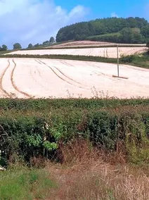 Lower Pinn Farm - Image 2