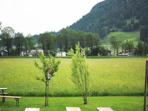 Marliesenhof - Image 3