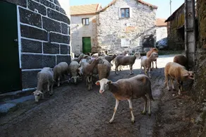 Casa Entre As Serras - Image 5