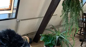 City Guesthouse - Image 2