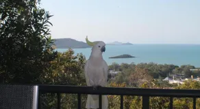 Yachtsmans Paradise, Whitsundays - Image 3