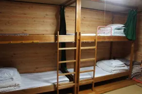 Hutte Birke - Image 2